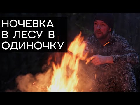 Видео: Ночёвка в лесу в одиночку. Разрушаем страхи, даём советы! Ночевка в лесу без палатки,  бушкрафт