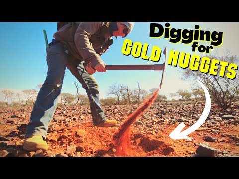 Видео: Сколько золотых самородков они оставили на этом участке?