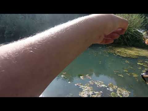 Видео: рыбалка на р. Ушаковка