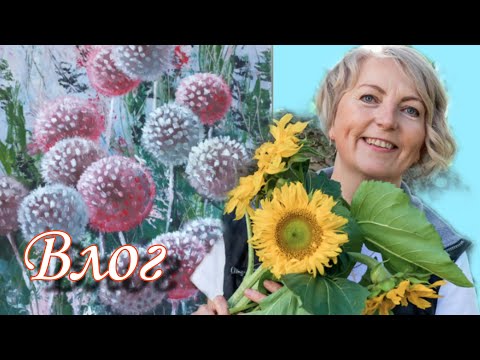 Видео: Пишу ЛИЛИИ и золотую ОСЕНЬ. Осваиваю РОСПИСЬ МЕБЕЛИ. Поставили ДВЕРЬ. Оформляем ГОСТЕВУЮ комнату.