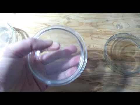 Видео: Немного о чашках Петри