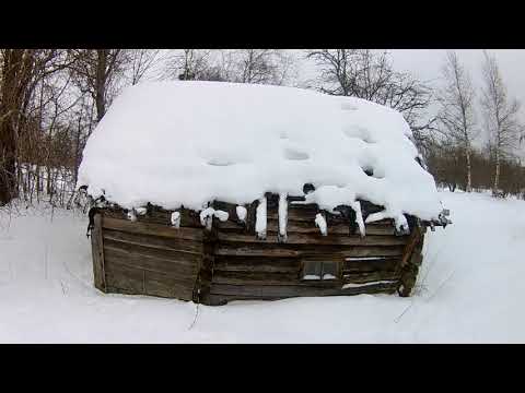 Видео: Промысловая охота: пакостная рысь. приманки и наживки на куницу