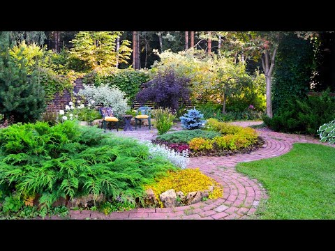 Видео: Оригинальные примеры садового обустройства / Original examples of garden arrangement