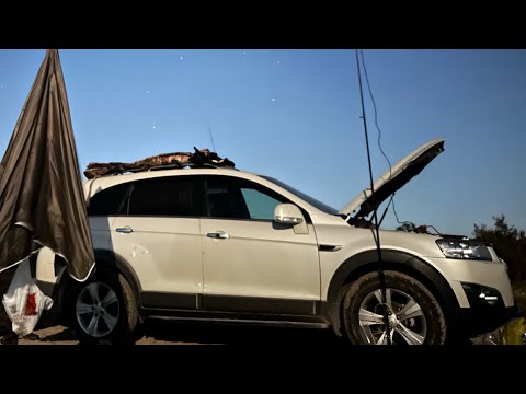 Видео: Трофейный сазан возвращается – Арнасай снова в деле!
