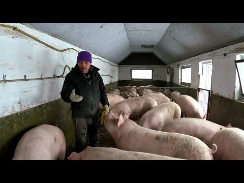 Видео: 7 МІСЯЦІВ, 200KG,  ЦЕ НЕРЕАЛЬНО 🔴