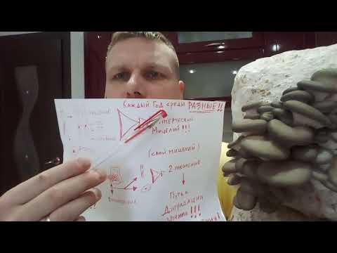 Видео: РЕГЕНЕРАЦИЯ! ДЕГРАДАЦИЯ ШТАММА! как избежать!!!