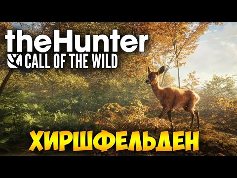 Видео: theHunter Call of the Wild™ Заказник Hirschfelden