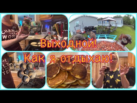 Видео: VLOG #14. С первыми петухами. Лучшие оладьи. Отзыв о сковороде. Любимый кофе. Мои витамины.