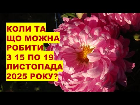 Видео: Коли та що робити з 15 по 19 листопада 2025 року?