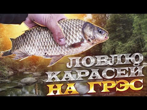 Видео: Рыбалка на ГРЭС