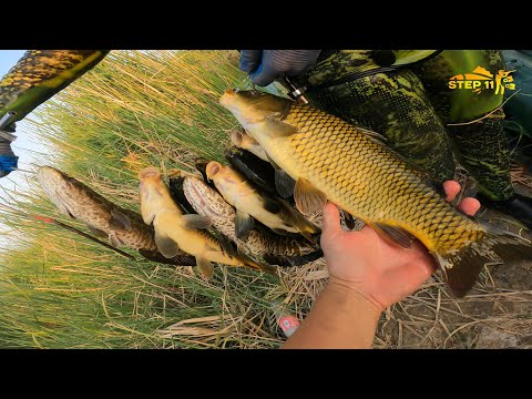 Видео: Гарпунмен Балық.CУ астында балық КӨӨП!!!