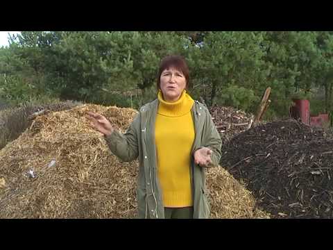 Видео: Как проходят наши эксперименты