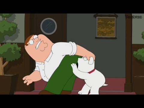 Видео: 🍅 Гриффины лучшие и смешные моменты в HD. #64 🍅