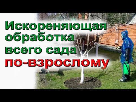 Видео: Осенняя искореняющая обработка сада ИНСТРУКЦИЯ