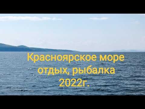 Видео: Енисей/ Красноярское море 2022 год/ отдых/ рыбалка/ набрали брусники