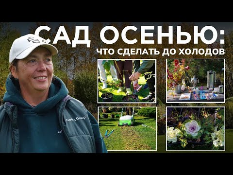 Видео: Что делать в саду осенью: от полива до обрезки | Чек-лист работ