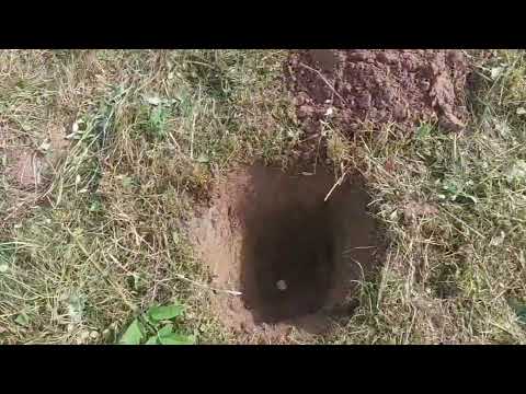 Видео: Garrett Ace 350 тест