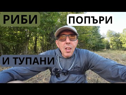 Видео: РИБИ, ПОПЪРИ И ТУПАНИ