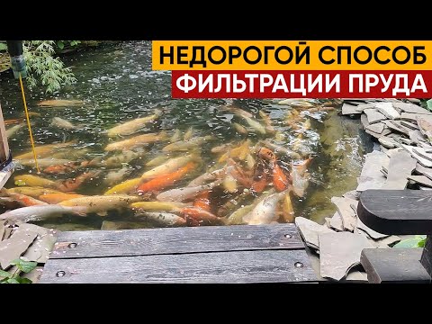 Видео: Как сделать воду прозрачной в пруду с рыбой. Рассказываем про самодельный фильтр для пруда.