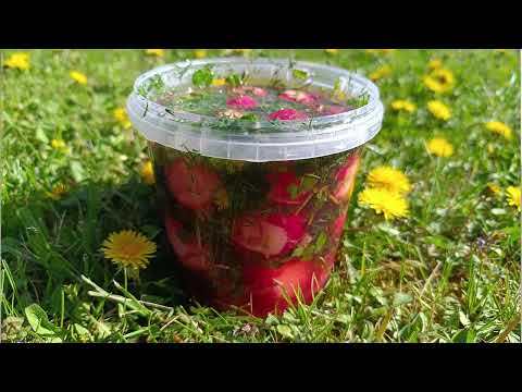 Видео: Битая маринованная редиска — Вкусная и пикантная закуска за 10 минут! Легко, быстро и вкусно!