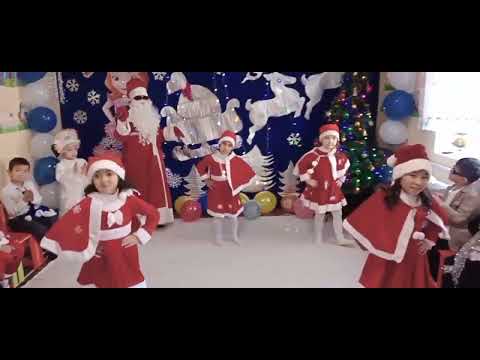 Видео: 24 января 2025 г.