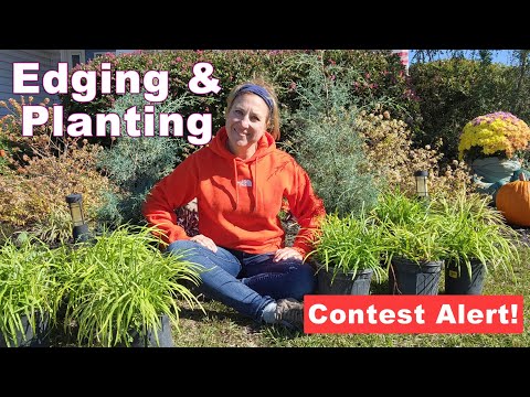 Видео: Осеннее благоустройство сада | Посадка растений, оформление кромок и бордюров: как повысить привл...