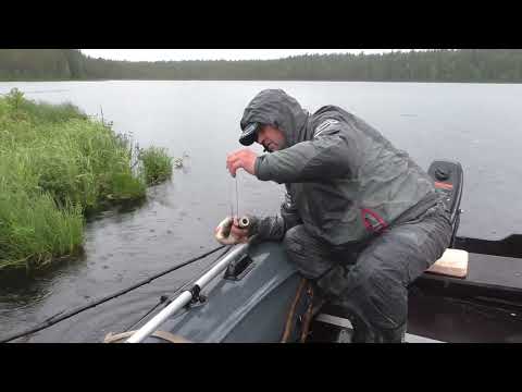 Видео: Рыбалка на лесном озере! Погода плохая , а рыба хороша!