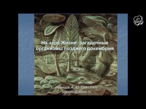 Видео: Андрей Иванцов «На заре Жизни: загадочные организмы позднего докембрия»