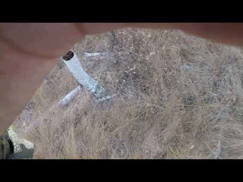 Видео: На засаде, охота на косуль.