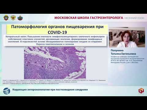 Видео: Доклад Полуниной Т. Е.  Коррекция энтероколопатии