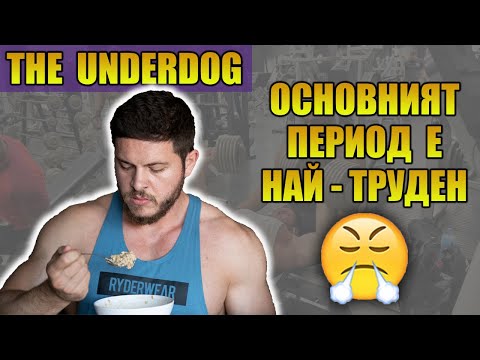 Видео: ХРАНА ЗА МУСКУЛНА МАСА. Full day of eating. 4200cal