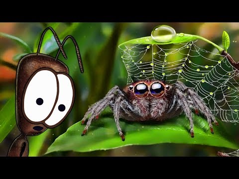 Видео: AntVentor - ПРИКЛЮЧЕНИЯ МУРАВЬЯ-ИЗОБРЕТАТЕЛЯ [#1] - Игра - Прохождение