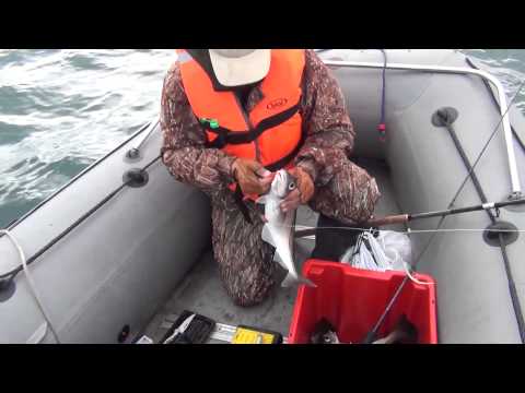 Видео: Рыбалка на Баренцевом море
