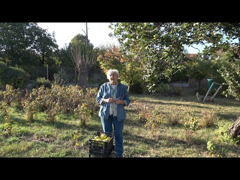 Видео: Епизод 9