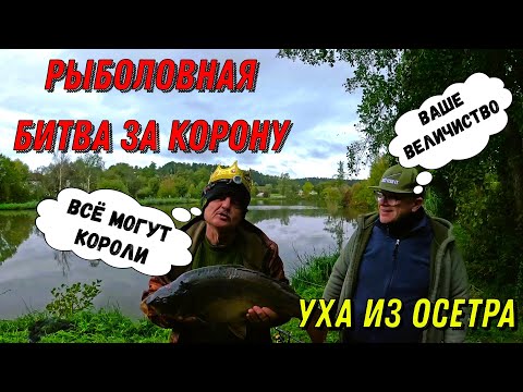 Видео: Рыболовная битва за корону, уха из осетра!