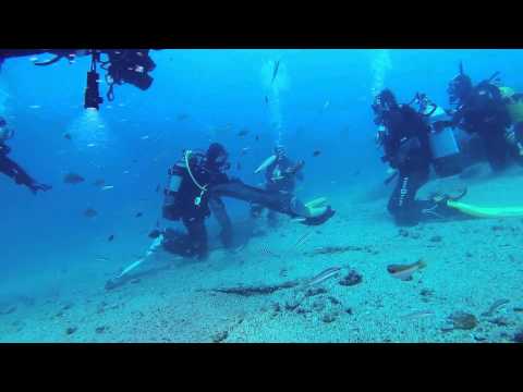 Видео: Дайвинг в Хорватии. День третий. Пейзажный дайв и угри на Teti