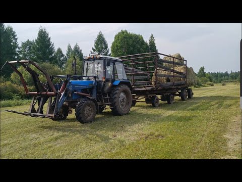 Видео: Вывозка сена началась,ответы на вопросы