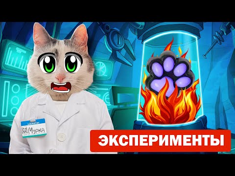 Видео: 15 ОПЫТОВ С ТАБА ЛАПКАМИ! ВСЕ ПОШЛО НЕ ПО ПЛАНУ! ПРОВЕРКА ДОРОГО vs ДЕШЕГО СКВИШИ