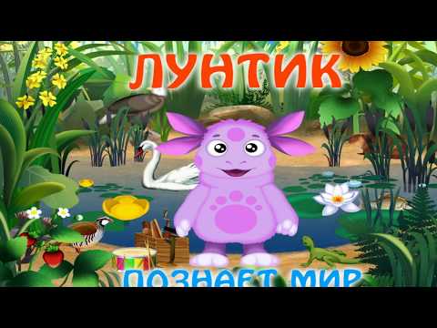 Видео: Прохождение Игры. Лунтик Познаёт Мир. Мультик. Подборка. Игры Мультики.