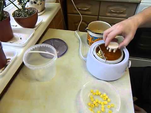 Видео: Изготовление восковых мисочек # 307