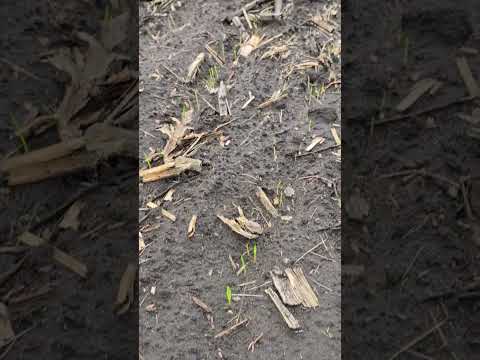 Видео: 12 октября 2025 г.