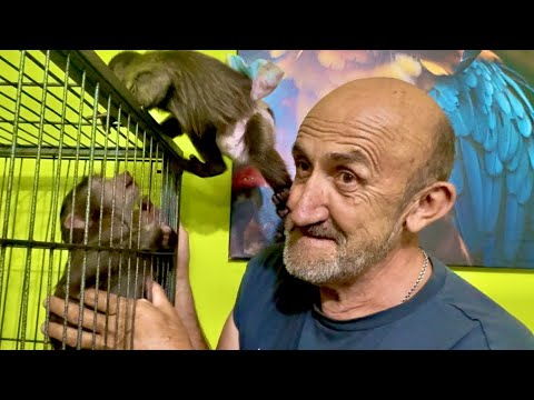 Видео: Финик понял что Анфиса его не достанет и дает ей ответочку)))