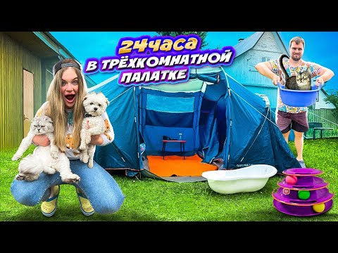 Видео: 24 ЧАСА В ТРЁХКОМНАТНОЙ ПАЛАТКЕ С КОТАМИ И СОБАКОЙ | ОБУСТРОИЛИ КОМНАТУ КОТОВ | БИЛЛИ УКУСИЛ МУРАВЕЙ