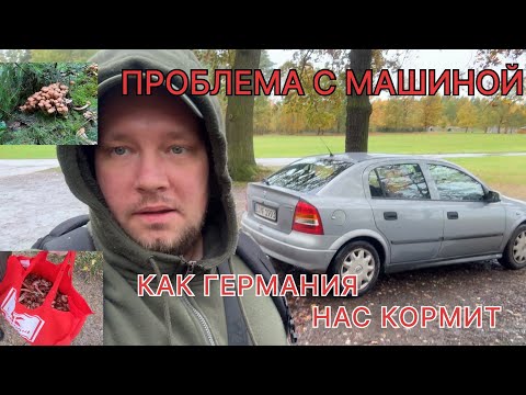 Видео: ГЕРМАНИЯ | ЖИЗНЬ В ГЕРМАНИИ | ГРИБЫ В ГЕРМАНИИ | ЗНАКОМСТВО С ЛЕСНИКОМ | ТЕХОСМОТР В ГЕРМАНИИ | Vlog