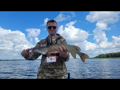 Видео: УТКУЛЬ - выезд с женой почилить и половить рыбу
