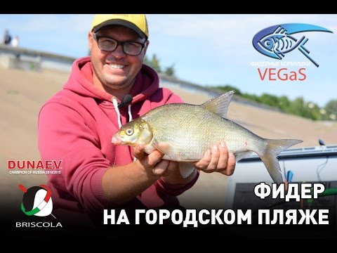 Видео: Фидер на городском пляже