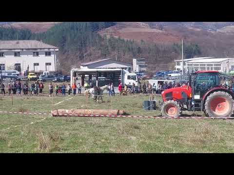 Видео: Тодоровден 2024 в Априлци част 1