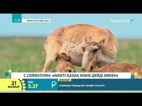 Видео: БӨКЕН АТҚАН!!Авторы : Құнанбай БайжиенұлыСыбызғы да :Кәлек Құмақайұлы