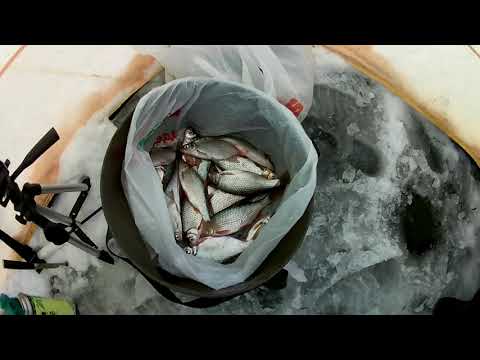 Видео: 27.12.2020г. Рыбалка с сыном. "Шайба " в деле. Можайское водохранилище.