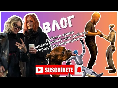 Видео: ВЛОГ. ДОБЫЧА ХРЕНА. ЗАВЕЛИ СОБАКУ ИЛИ РОБОТА? ГОРОДСКИЕ МЕРОПРИЯТИЯ 